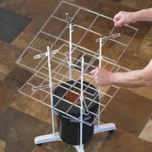 Photo of P SCROG Pro System