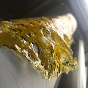 Photo of Clean Concentrates Cannabis Extract Shatter - Lucid Dream