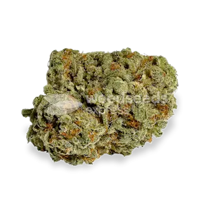 Photo of Afghani Feminized Seeds