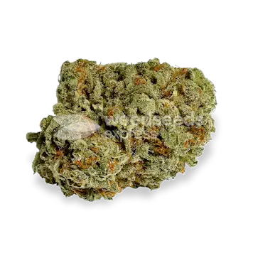 Photo of Afghani Feminized Seeds