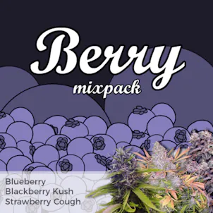 Photo of Berry Mixpack