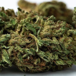 Photo of Special Sauce CBD Flower