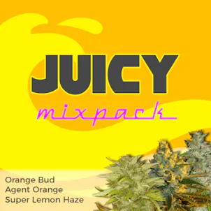 Photo of Juicy Mixpack
