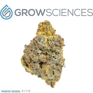 Photo of Dip-N-Stix (3.7)