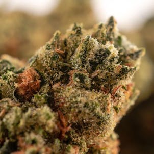 Photo of OG T.I.T.S. - 3.5g