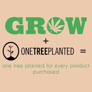 Photo of Grow Handcrafted Wood Dugout with One Hitter