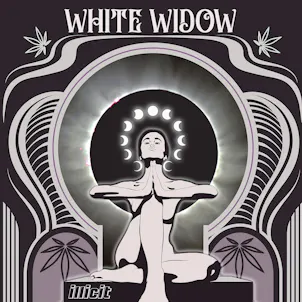 Photo of White Widow 1g Flower