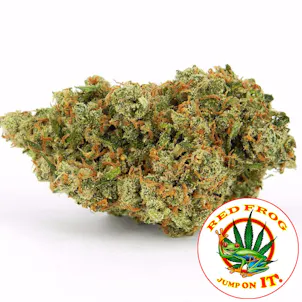 Photo of Jack Herer