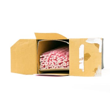 Photo of Blazy Susan Pink Cones - 1,000 Count