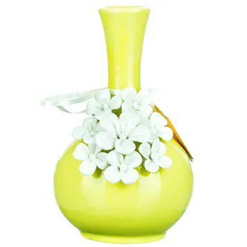 Photo of My Bud Vase "Phoebe" Water Pipe