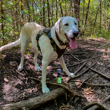 Photo of Lush Valley CBD Pet Spray
