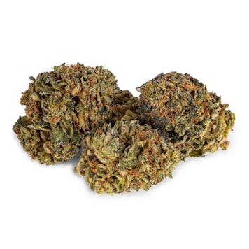 Photo of BC Pink Kush