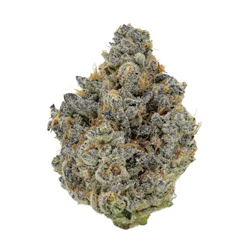 Photo of Puro Loco 3.5G