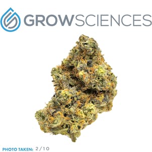 Photo of Wedding Cake Smalls