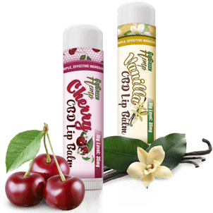 Product image for GoGreen Hemp CBD Lip Balm 35mg (Multiple Flavors)