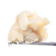Product image for Papaya Live Rosin Cold Cure Badder
