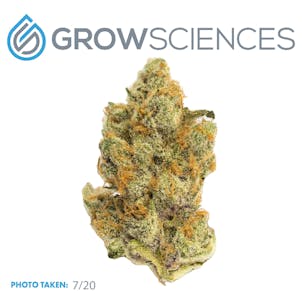 Photo of Wedding Cake (3.7)