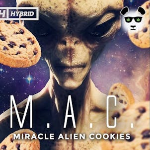 Photo of MAC Pre-Rolls Panda Tin (3 x 1g)