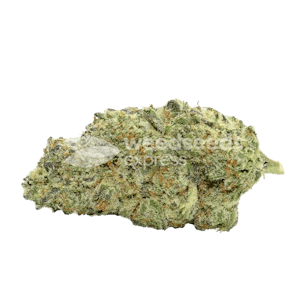 Photo of Kiwi Kush Feminized Seeds