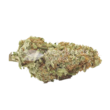 Photo of Crystal Feminized Seeds