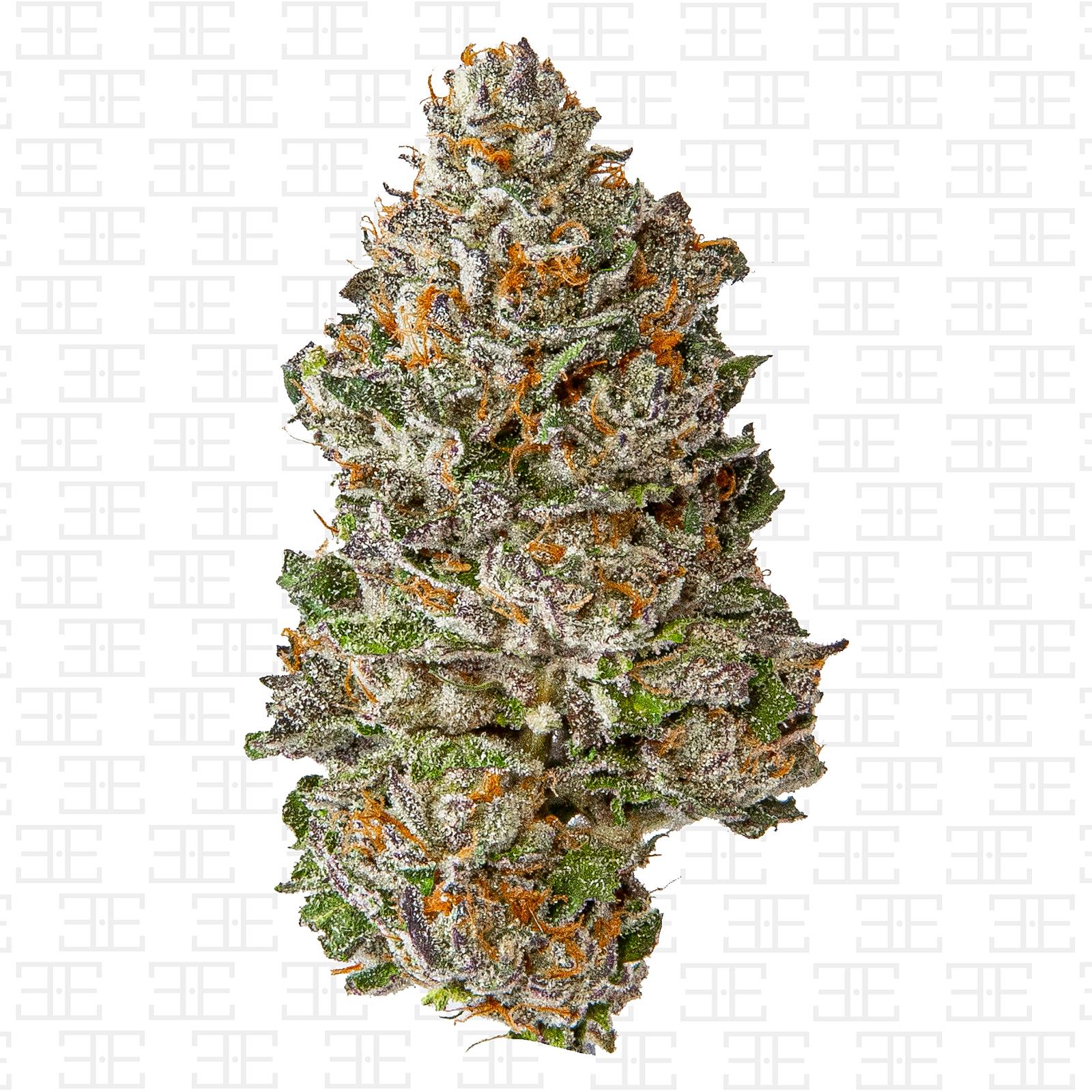 Elite Eighth Tropical Truffle Runtz Leafly