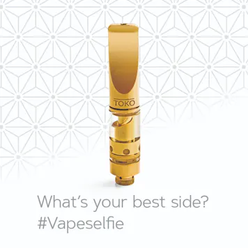 Photo of Toko Gold Hybrid Cartridge