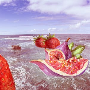 Photo of Strawberry Fig Balsamic