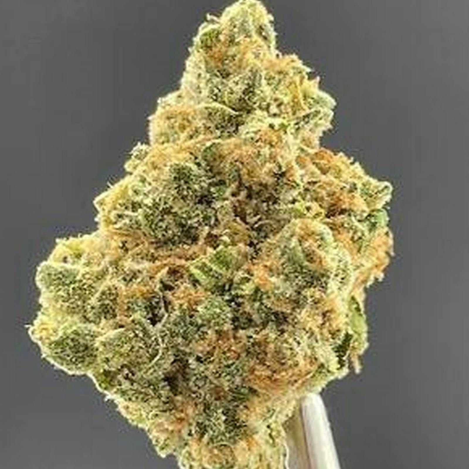 KannaWise Cannabis Blueberry Diesel x Triple OG Leafly