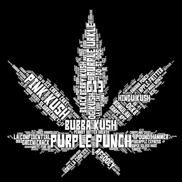 Photo of Hemp Leaf Strain Names Short-Sleeve Unisex T-Shirt