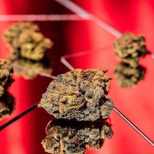 Product image for 22 Red - 22 Reflect 3.5g