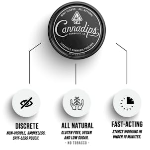 Photo of Mint CBD Ratio Micro-Dose Tins