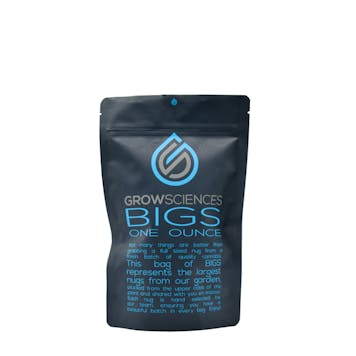 Photo of Sour San Souci Bigs