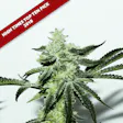 Product image for Dosi Sherbet (Indica)