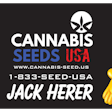 Product image for JACK HERER – 10 PACK
