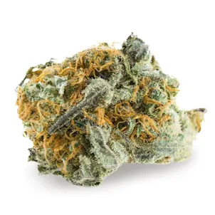 Photo of AMS Supreme Autoflowering