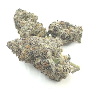 Photo of Purple OG THCA Flower