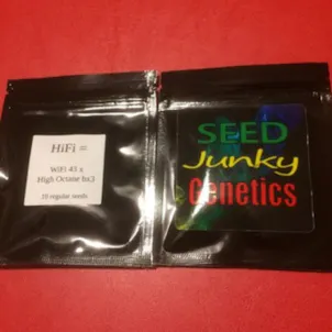Photo of Seed Junky Genetics - HIFI seeds
