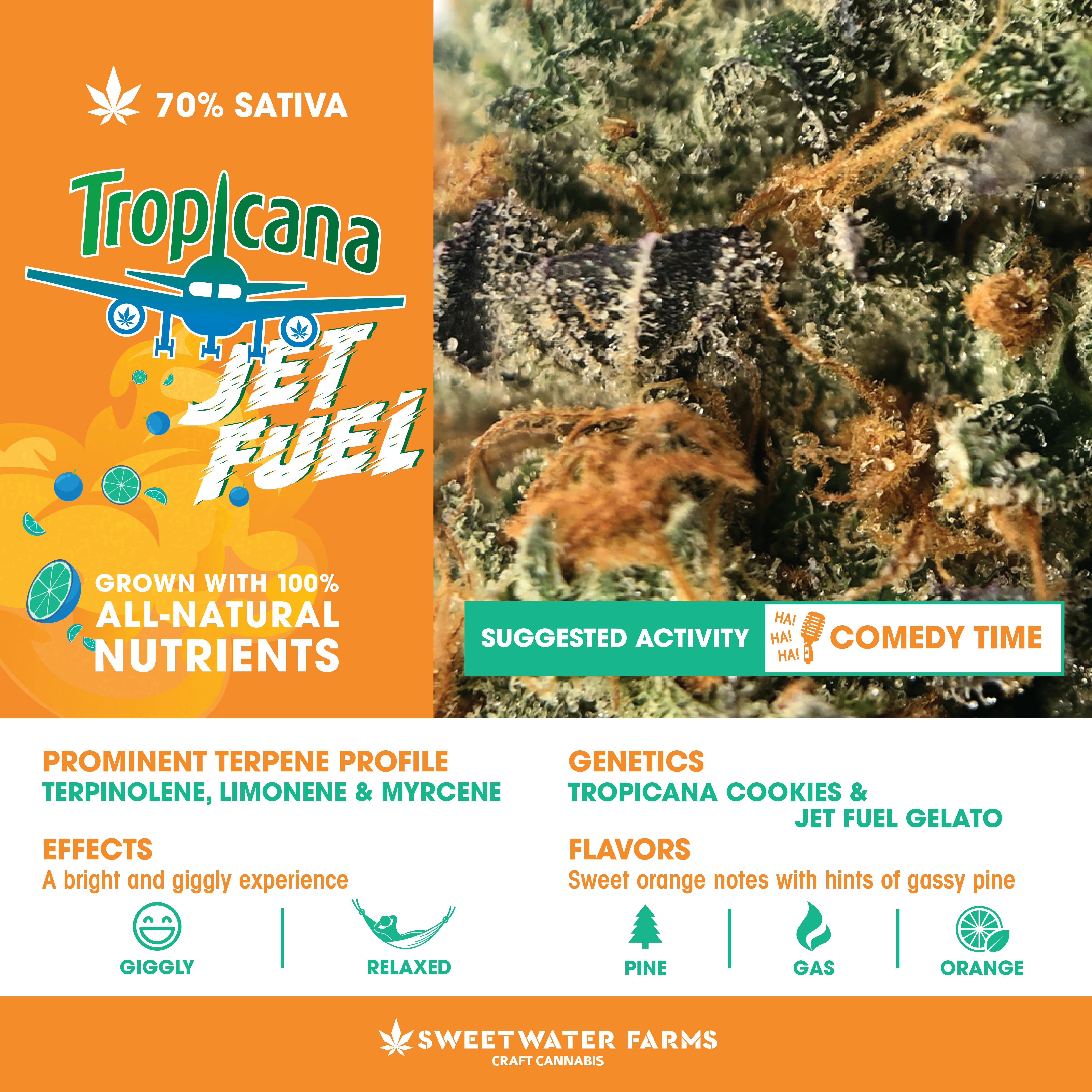 Sweetwater Farms Tropicana Jet Fuel Leafly