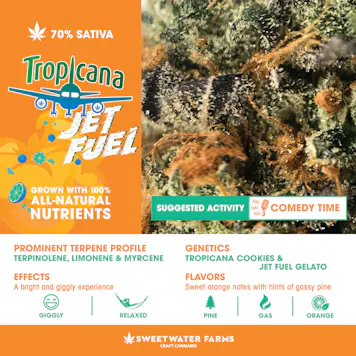 Photo of Tropicana Jet Fuel