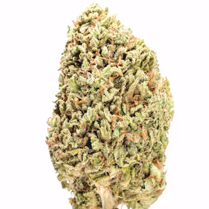 Photo of Lemon Sour Diesel