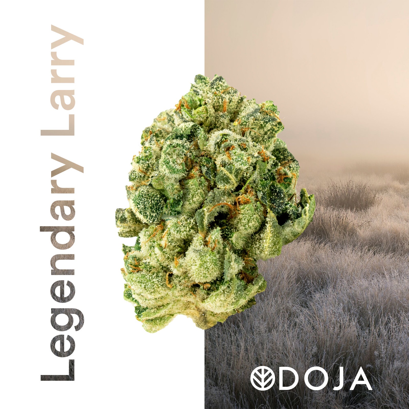 DOJA: Legendary Larry | Leafly
