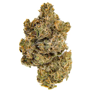 Photo of Blue Magoo Premium