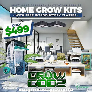 Photo of 4' x 4' Home Grow Kit With Free Intro To Growing Class