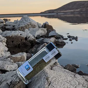 Photo of CBD Tea from Cherry Wine and Mountain Mango Hemp Flower