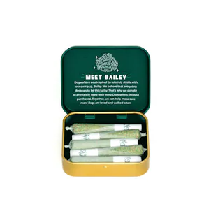 Photo of Strawberry Cough Mini Dog Play Pre-Rolls 1.75g 5-pack