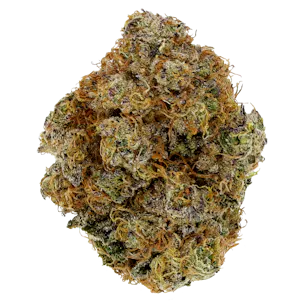 Photo of Pink Octane - 3.5g Flower - Northwest Territories