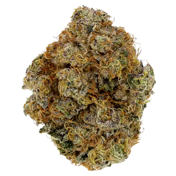 Photo of Pink Octane - 3.5g Flower - Northwest Territories