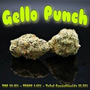 Photo of PhD - Gello Punch Flower - 29.15% THC