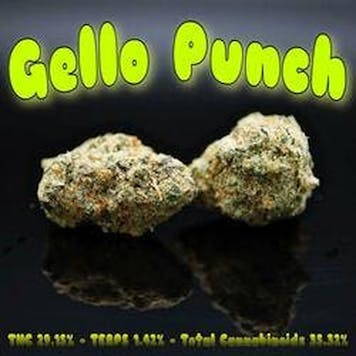 Photo of PhD - Gello Punch Flower - 29.15% THC