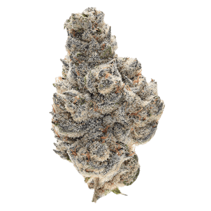 Photo of OS.ONE Powdered Donuts